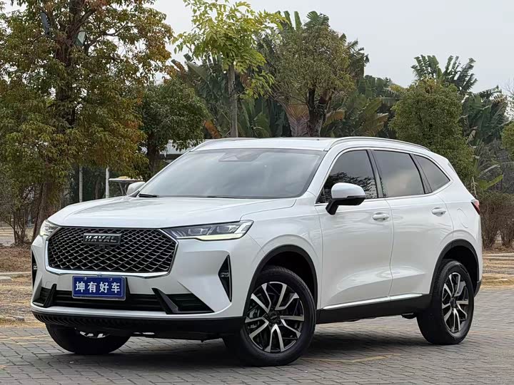 Фото 1 - Haval H6