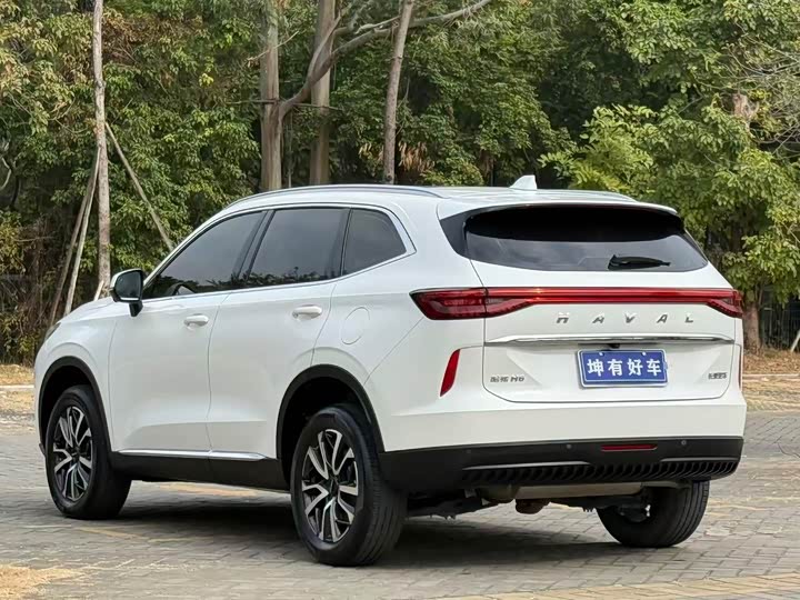 Фото 4 - Haval H6