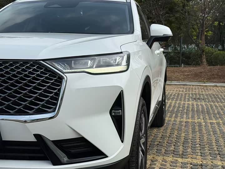 Фото 8 - Haval H6