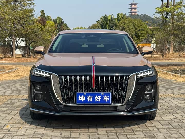 Фото 2 - Hongqi H5