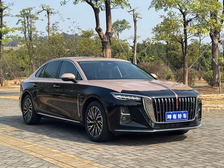 Фото 3 - Hongqi H5
