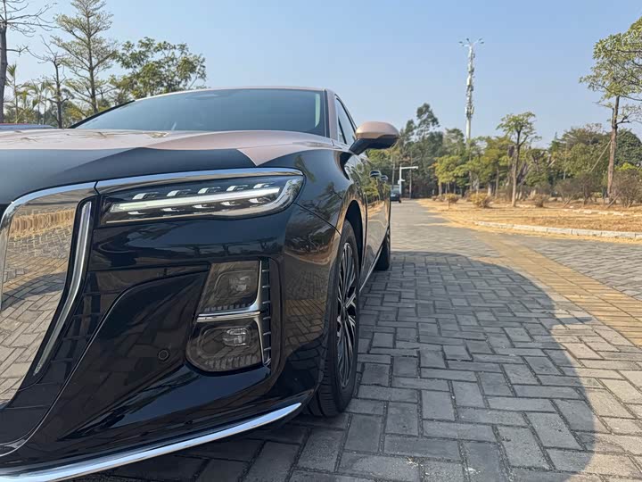 Фото 8 - Hongqi H5