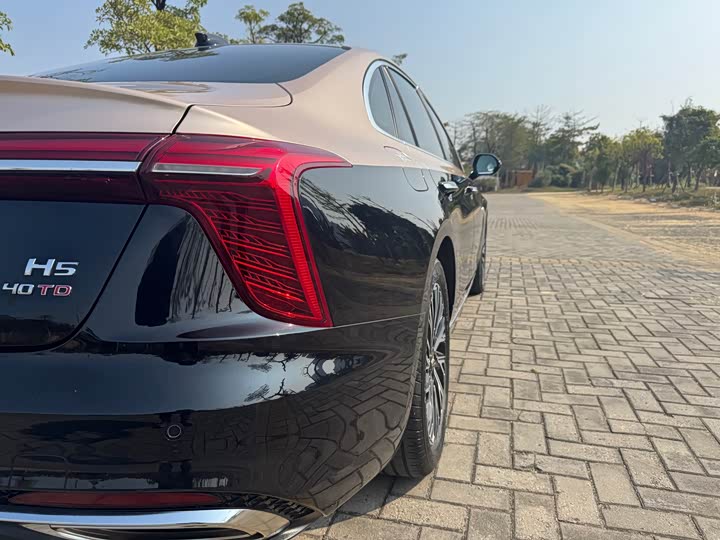 Фото 9 - Hongqi H5