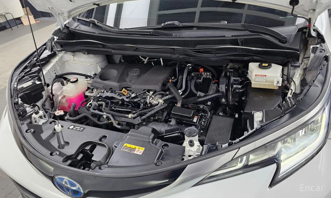 Фото 6 - Toyota Sienna