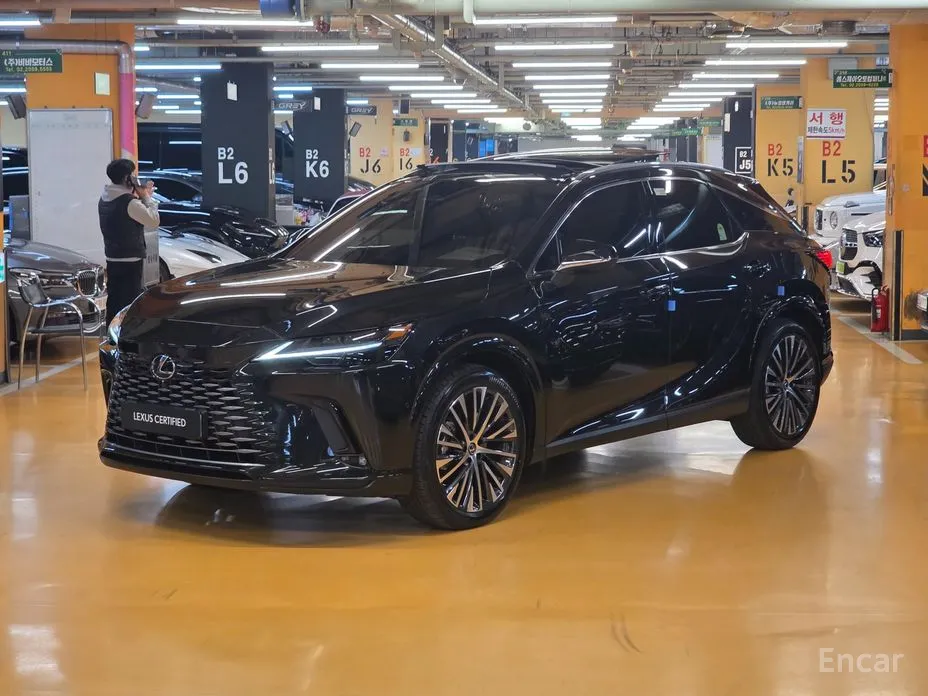 Фото 1 - Lexus RX