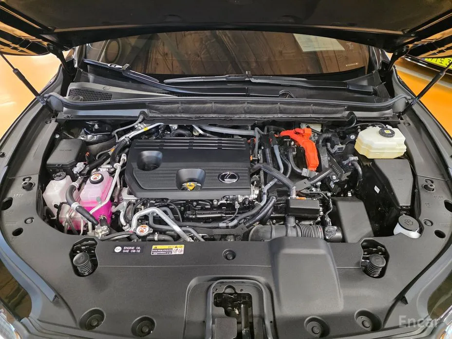 Фото 6 - Lexus RX