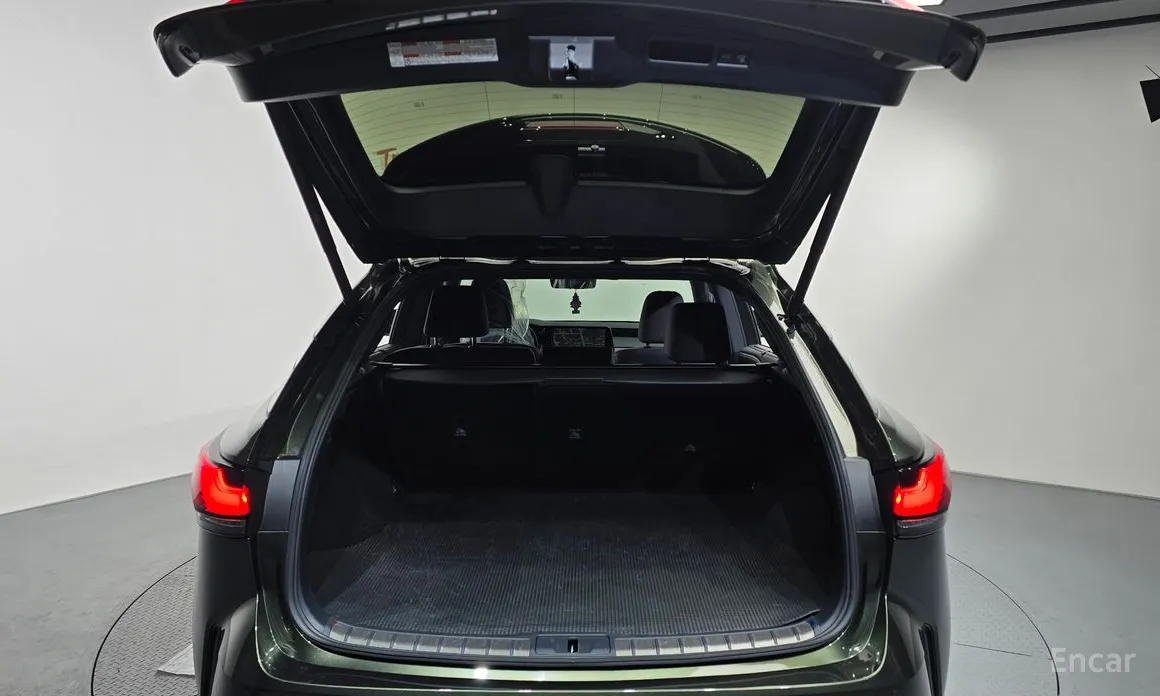 Фото 20 - Lexus RX