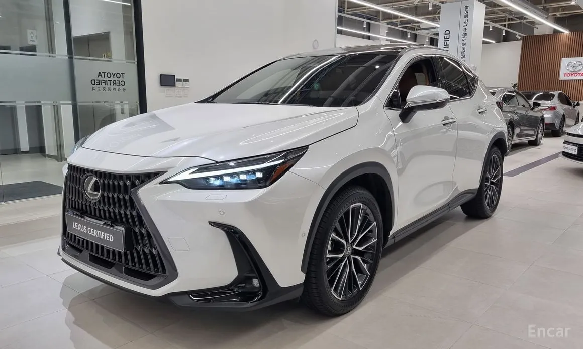 Фото 1 - Lexus NX
