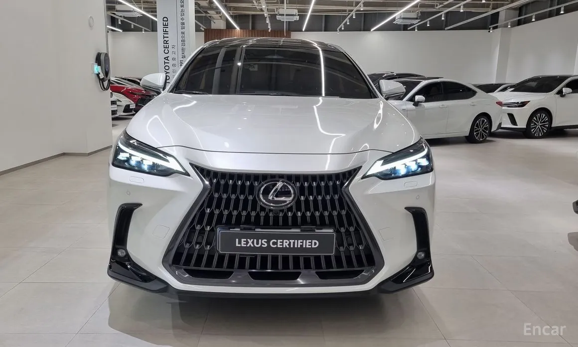 Фото 3 - Lexus NX