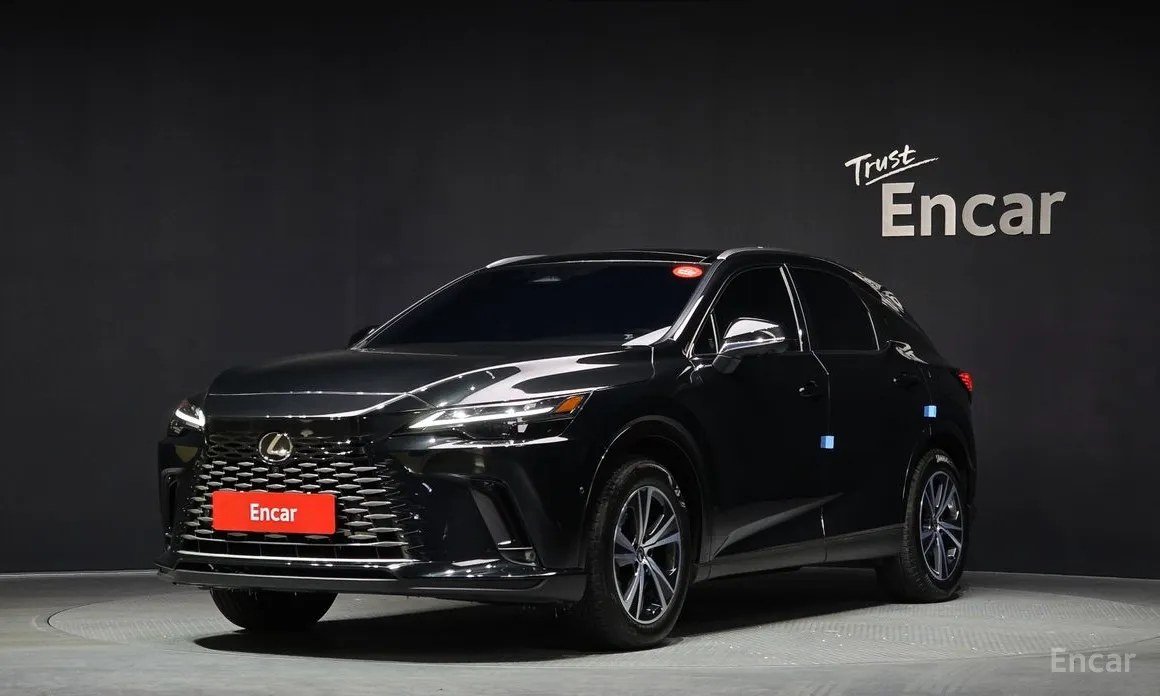 Фото 1 - Lexus RX