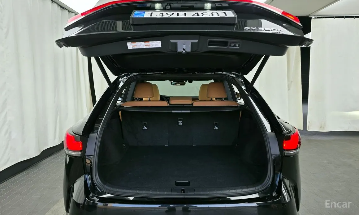 Фото 20 - Lexus RX