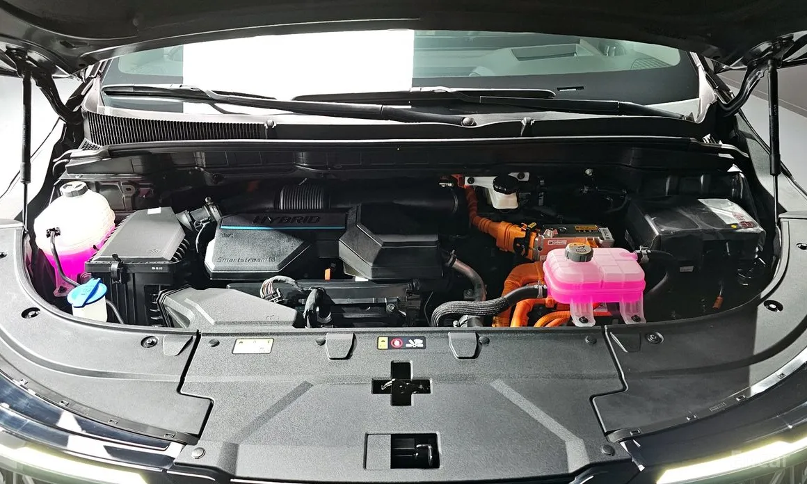 Фото 6 - Kia Carnival