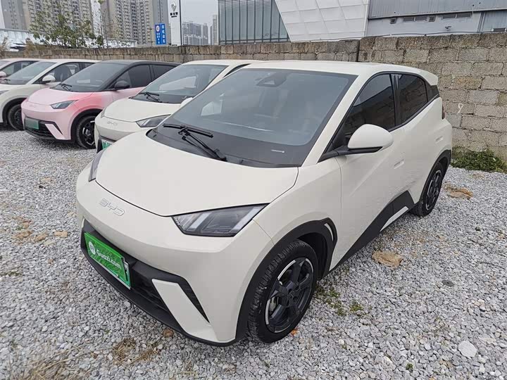 Фото 2 - BYD Seagull