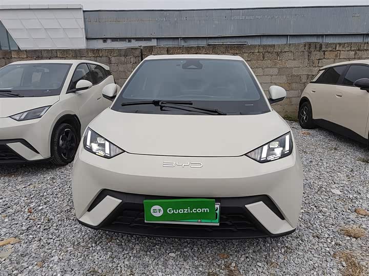 Фото 3 - BYD Seagull