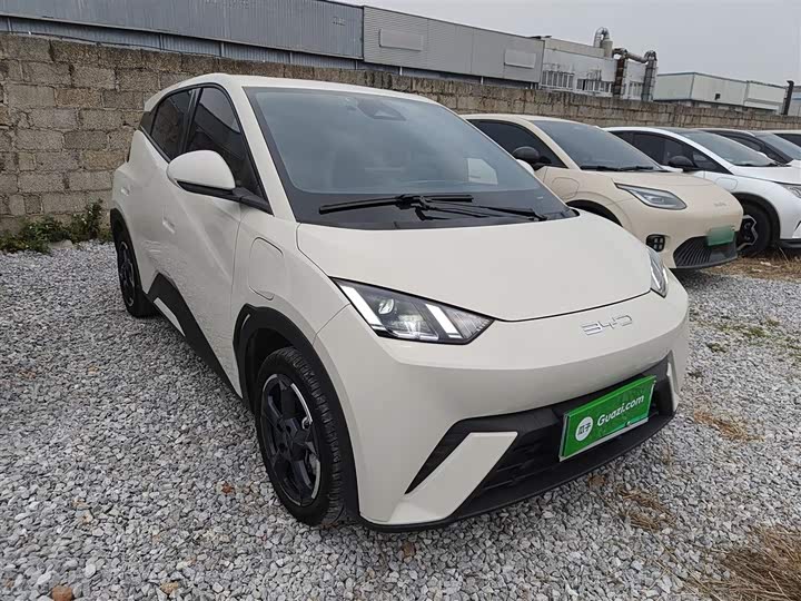 Фото 4 - BYD Seagull