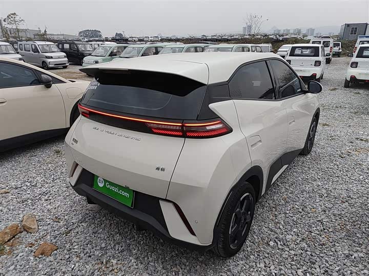 Фото 7 - BYD Seagull