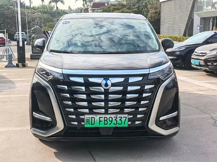 Фото 1 - Denza D9