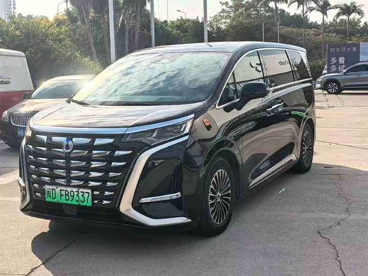 Фото 2 - Denza D9