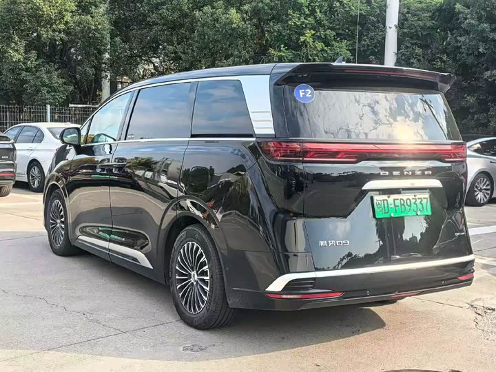 Фото 3 - Denza D9