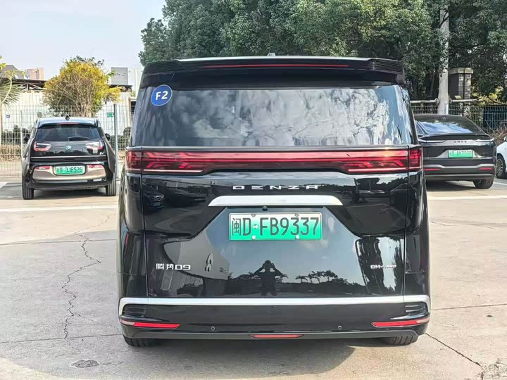 Фото 4 - Denza D9