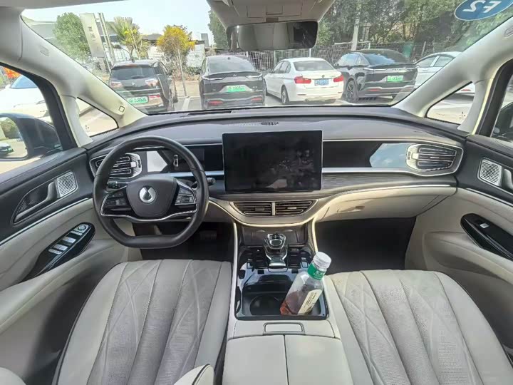 Фото 5 - Denza D9