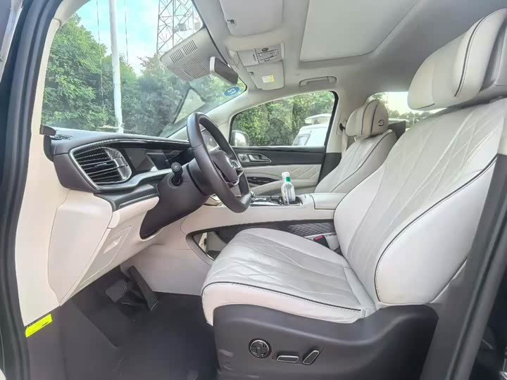 Фото 6 - Denza D9