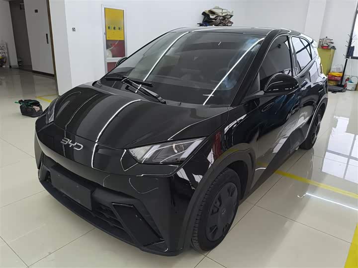 Фото 2 - BYD Seagull