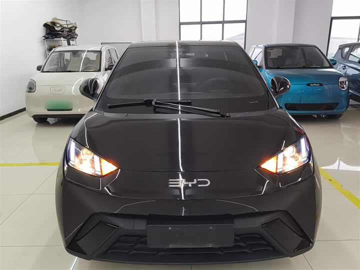 Фото 3 - BYD Seagull