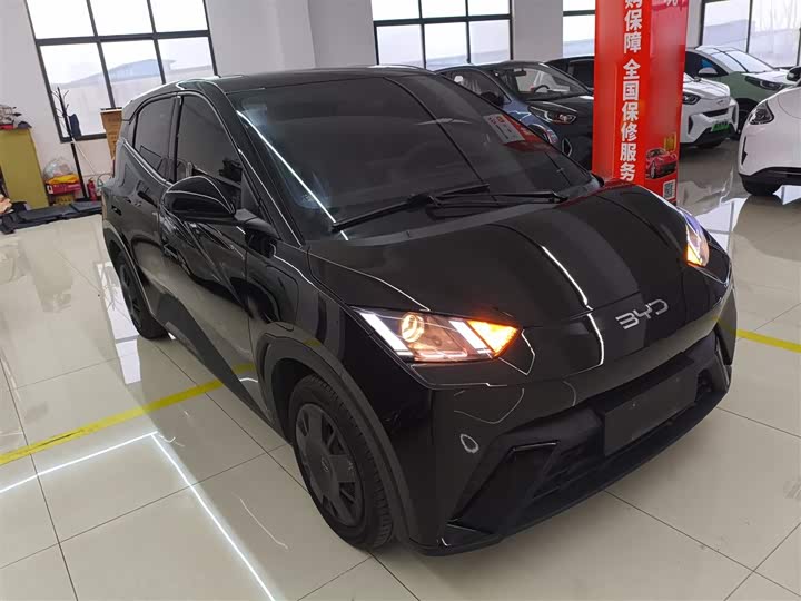 Фото 4 - BYD Seagull