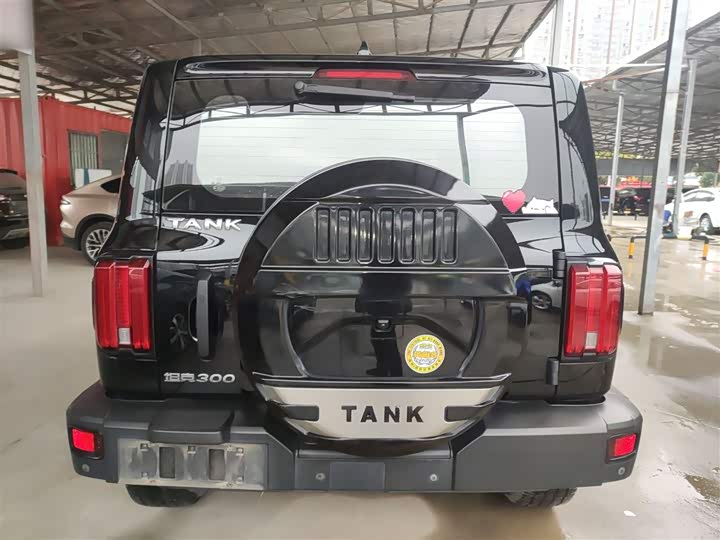 Фото 6 - Tank 300