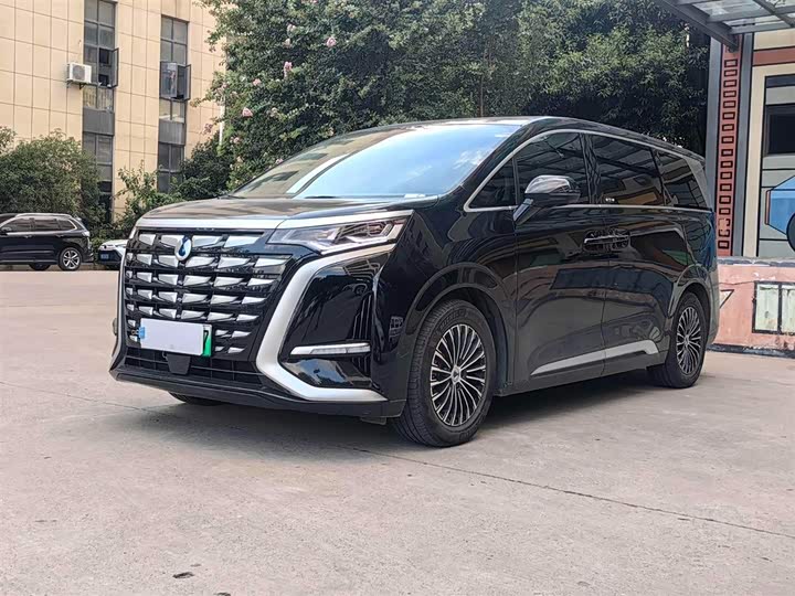 Фото 1 - Denza D9