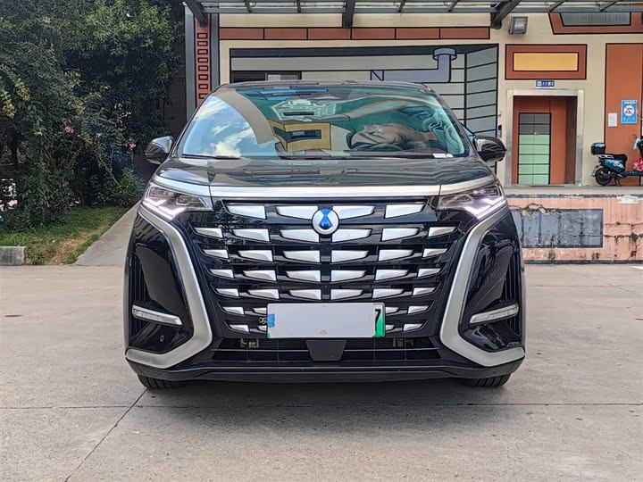 Фото 2 - Denza D9