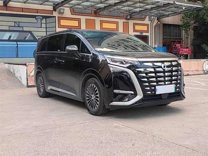 Фото 3 - Denza D9