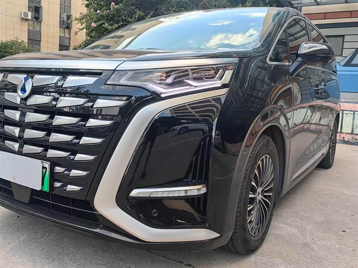 Фото 4 - Denza D9