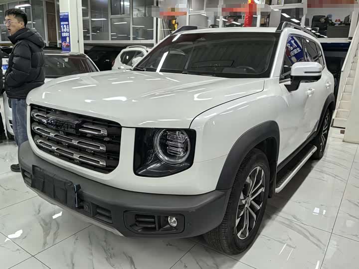 Фото 1 - Haval Dargo