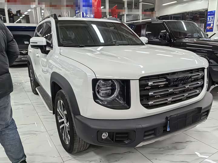 Фото 3 - Haval Dargo