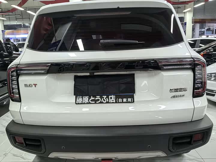 Фото 4 - Haval Dargo