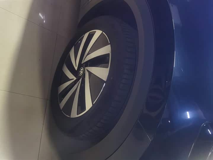 Фото 6 - Volkswagen Talagon