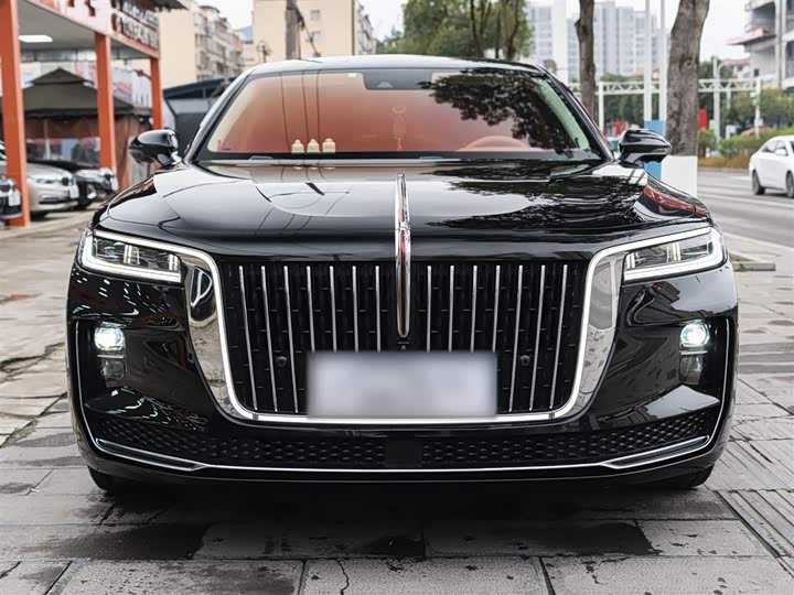 Фото 8 - Hongqi H9