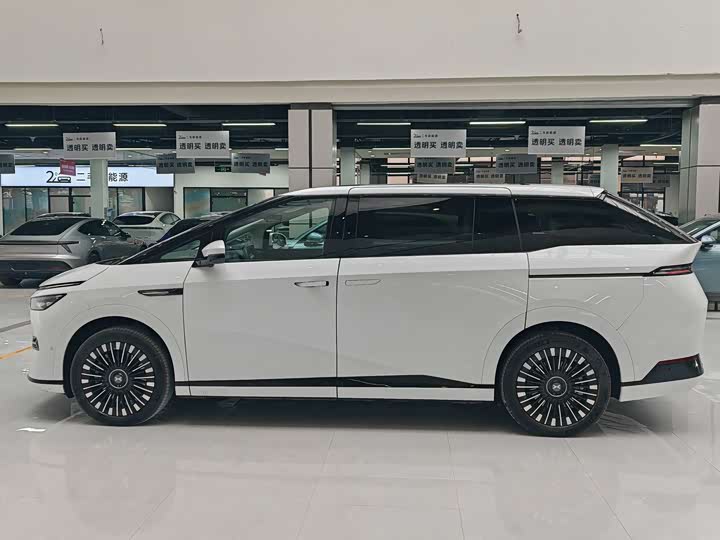 Фото 4 - XPeng X9