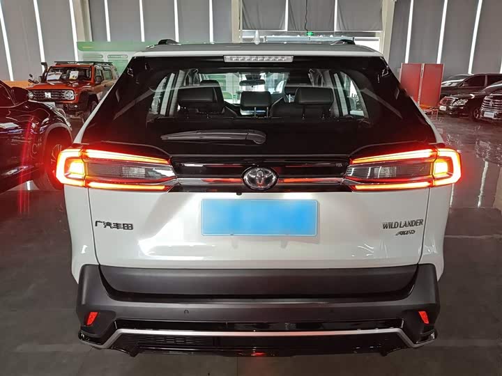 Фото 6 - Toyota Wildlander