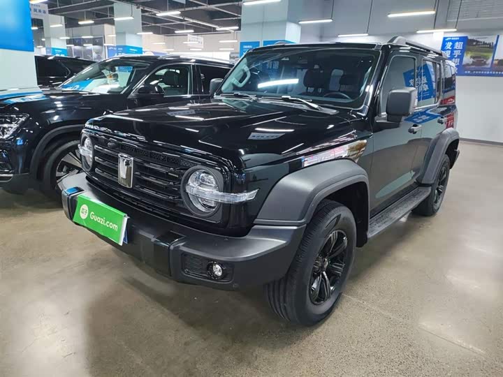 Фото 2 - Tank 300