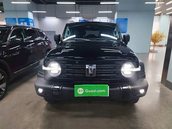 Фото 3 - Tank 300