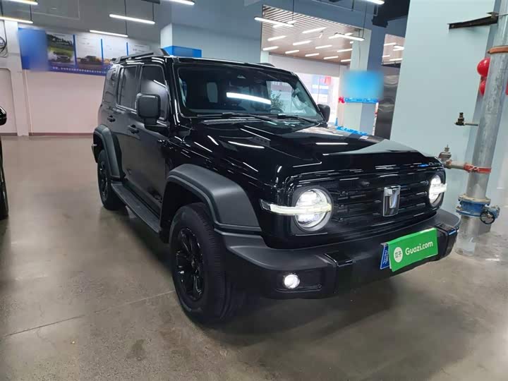 Фото 4 - Tank 300