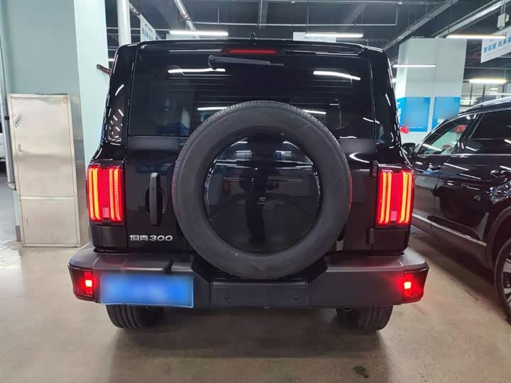 Фото 6 - Tank 300