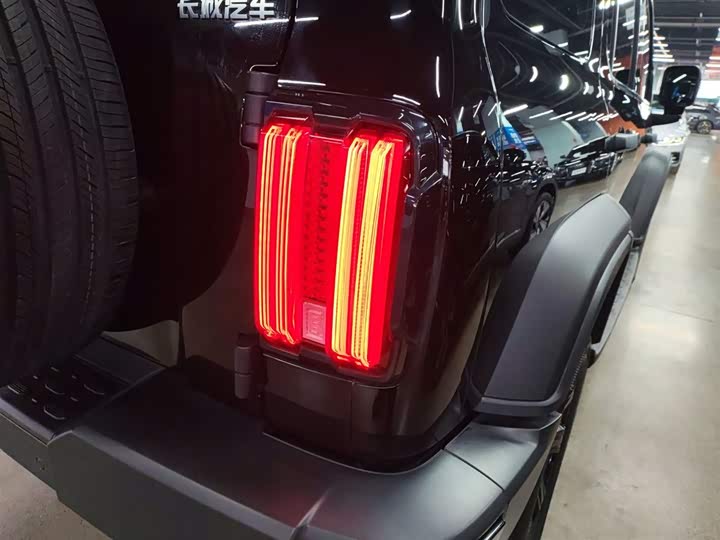 Фото 8 - Tank 300