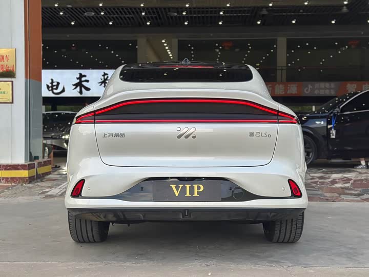 Фото 6 - IM motors LS6