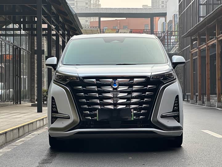 Фото 2 - Denza D9