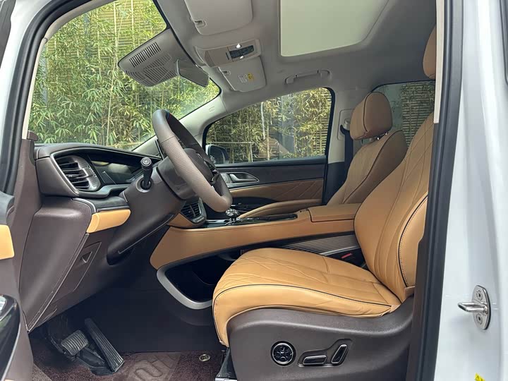 Фото 4 - Denza D9