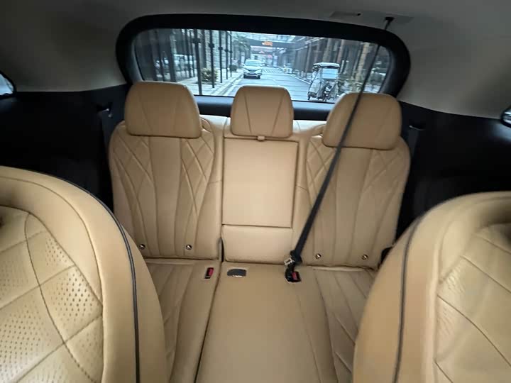 Фото 6 - Denza D9